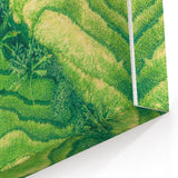 Spring Landscape Wall Art – Lush Green Terraced Fields Canvas