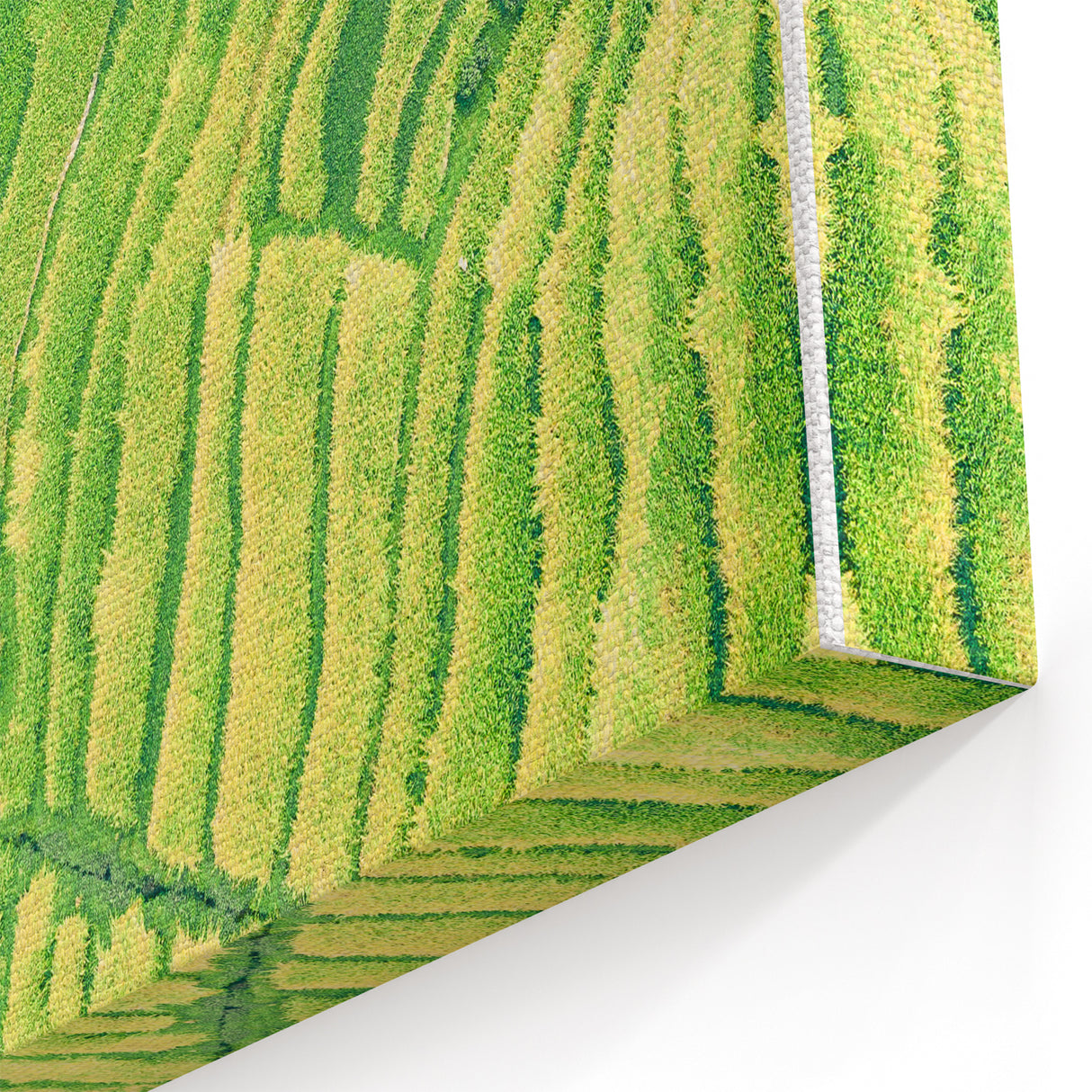 Lush Green Fields - Spring Landscape Wall Art on Canvas & Prints