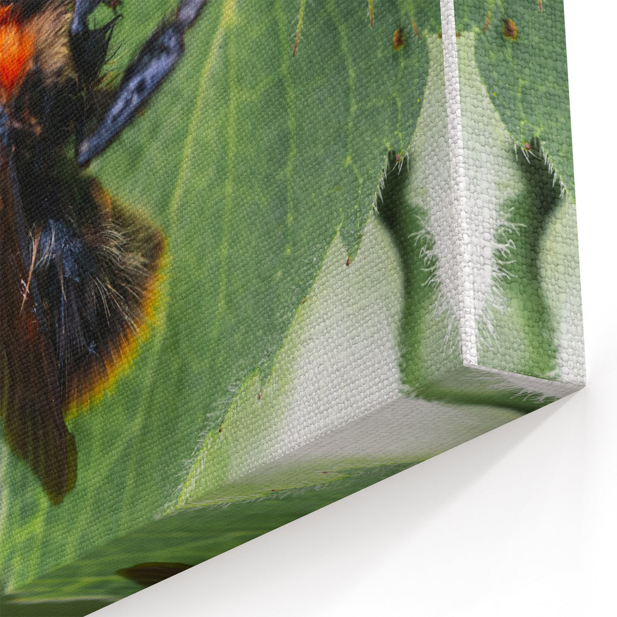 Bumblebee & Blooms - Spring Botanical Wall Art for Nature Lovers