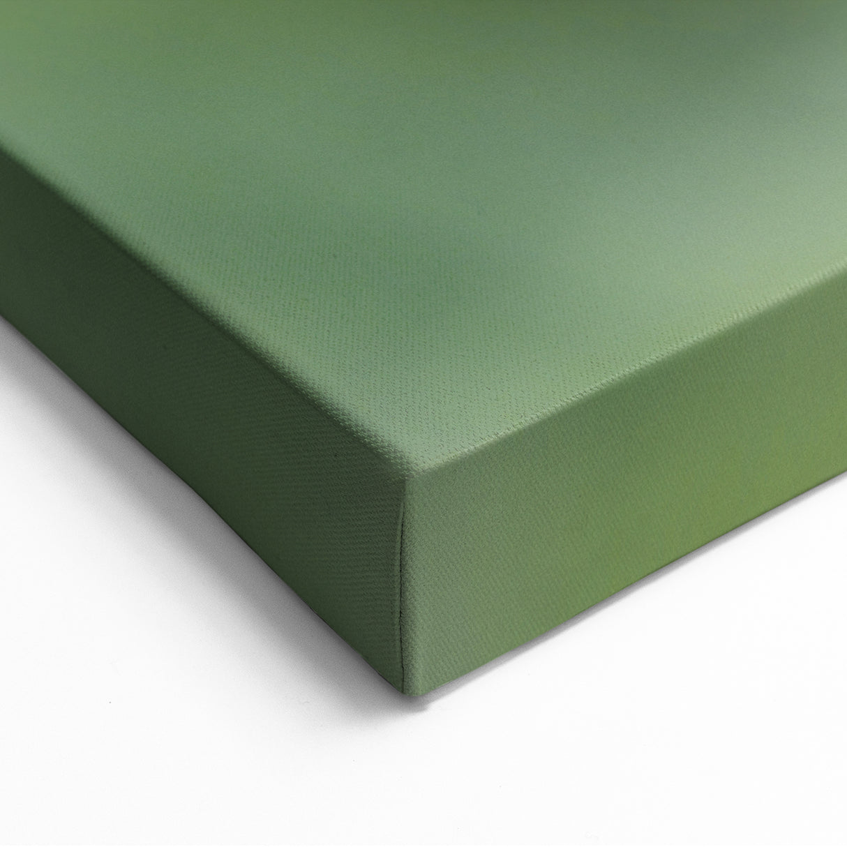 Bumblebee & Blooms - Spring Botanical Wall Art for Nature Lovers