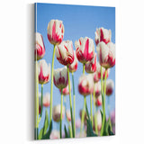 Blooming Tulips - Floral Spring Wall Art for Vibrant Home Decor