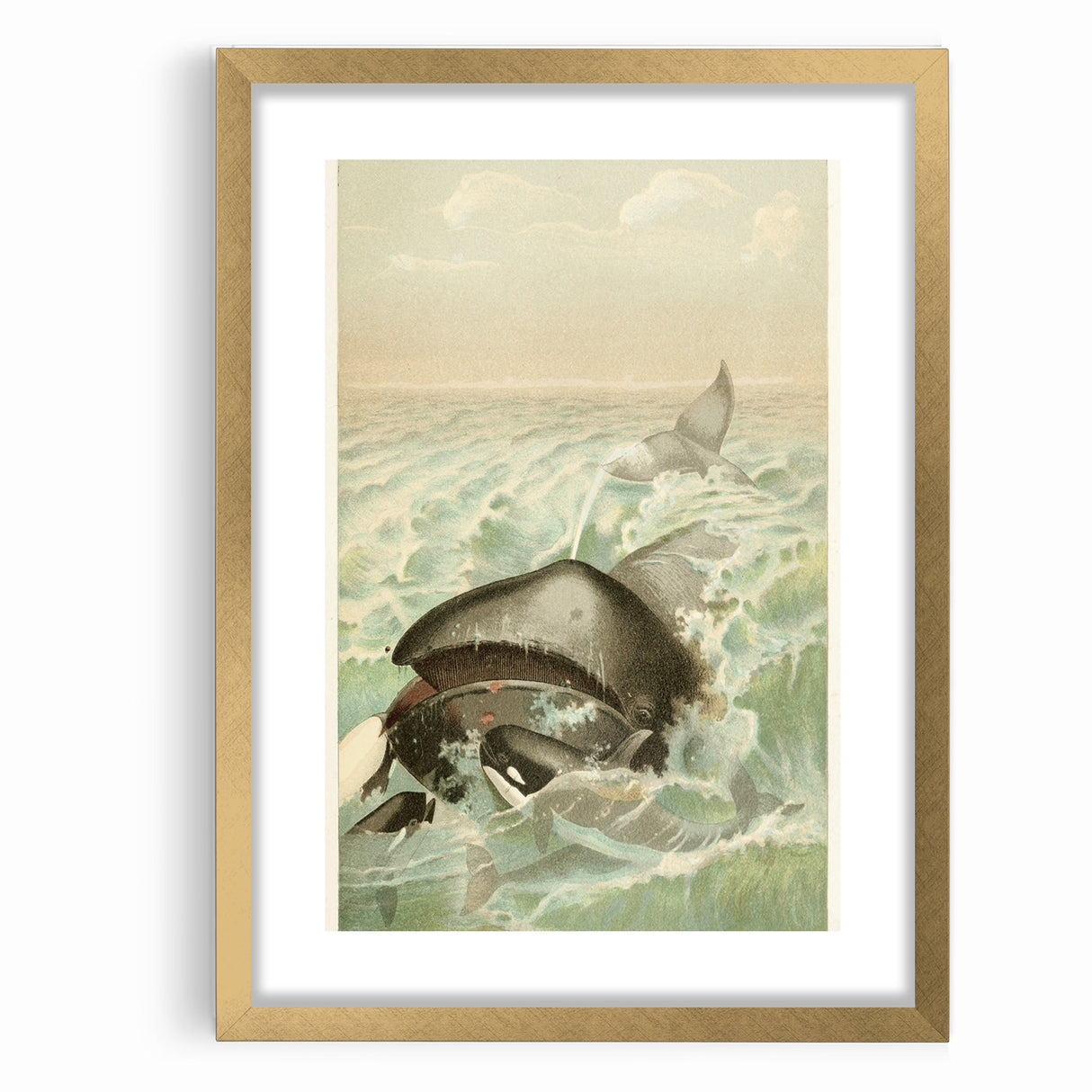 Vintage Animal Art: Whales in Ocean Waves | Antique Wildlife Prints