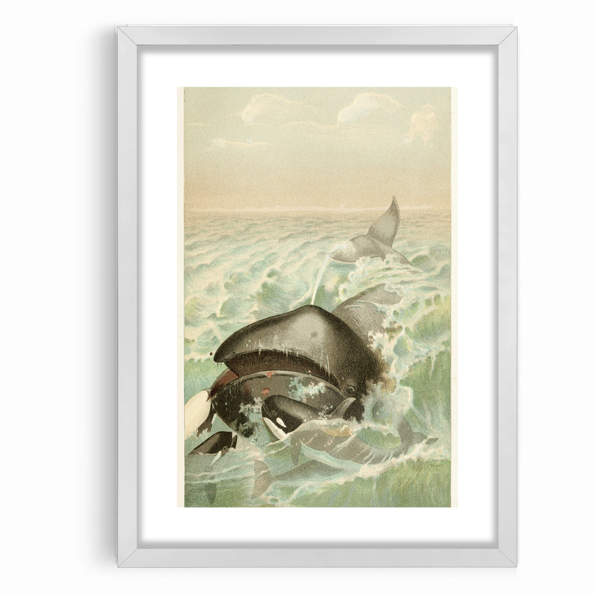Vintage Animal Art: Whales in Ocean Waves | Antique Wildlife Prints