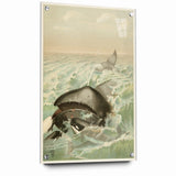 Vintage Animal Art: Whales in Ocean Waves | Antique Wildlife Prints