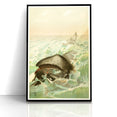 Vintage Animal Art: Whales in Ocean Waves | Antique Wildlife Prints