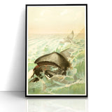 Vintage Animal Art: Whales in Ocean Waves | Antique Wildlife Prints