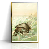 Vintage Animal Art: Whales in Ocean Waves | Antique Wildlife Prints