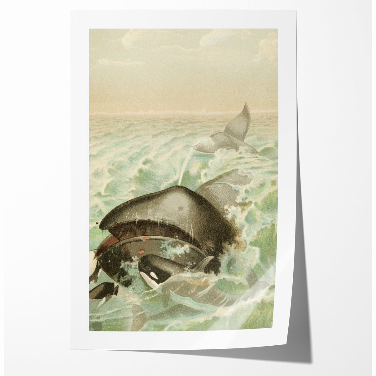 Vintage Animal Art: Whales in Ocean Waves | Antique Wildlife Prints
