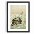 Vintage Animal Art: Whales in Ocean Waves | Antique Wildlife Prints