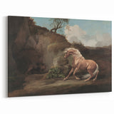 Vintage Animal Art - Horse & Lion Antique Wildlife Print