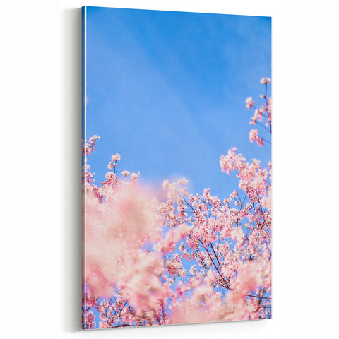 Blossoming Spring - Floral Wall Art with Cherry Blossoms & Sky