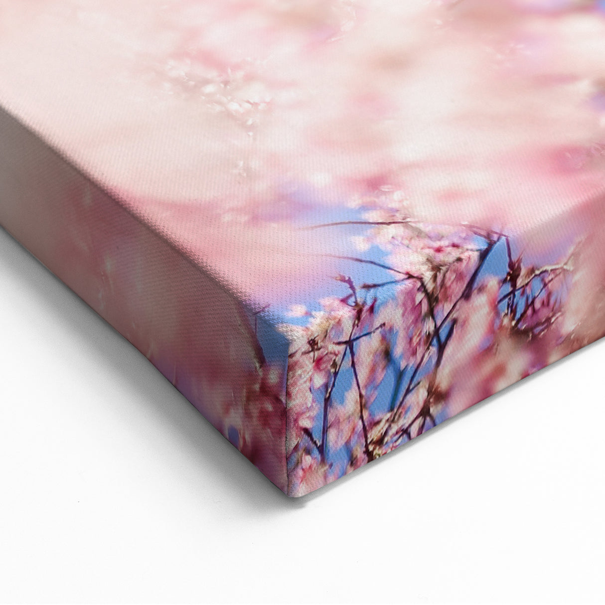 Blossoming Spring - Floral Wall Art with Cherry Blossoms & Sky
