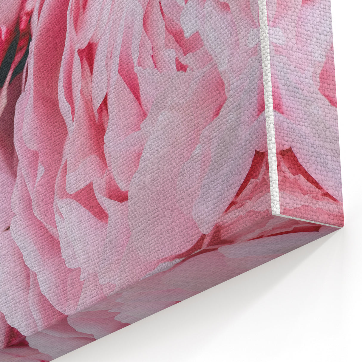 Romantic Peonies - Floral Spring Wall Art for Elegant Interiors