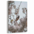 Spring Sparrow & Blossoms - Botanical Wall Art for Nature Lovers