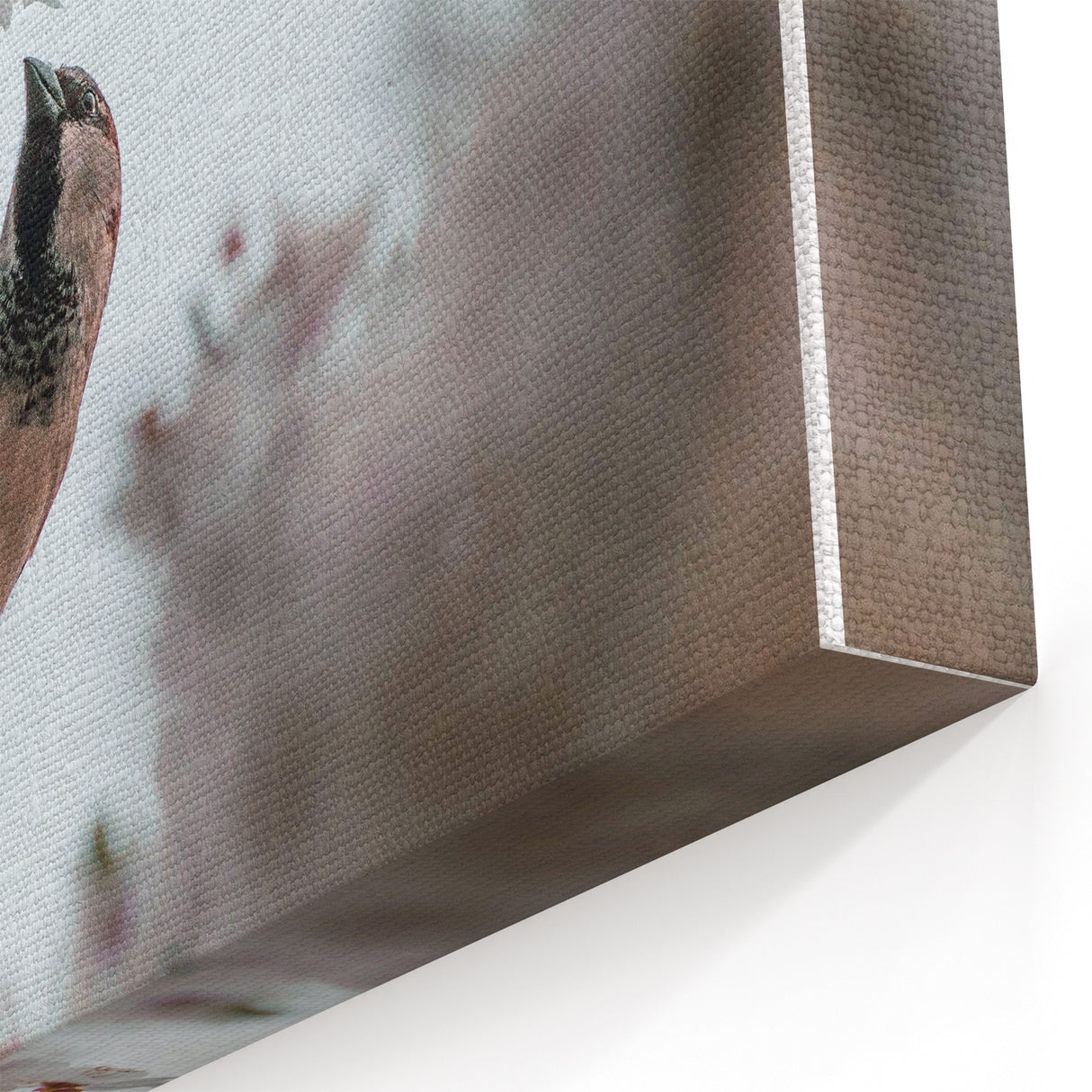 Spring Sparrow & Blossoms - Botanical Wall Art for Nature Lovers