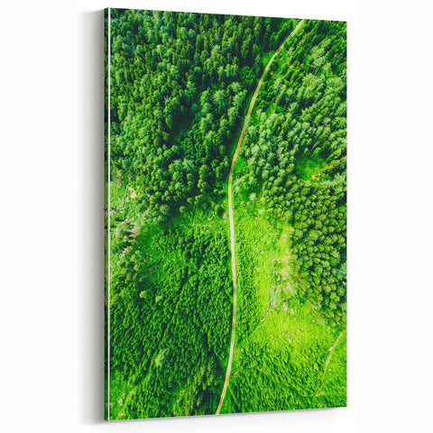Verdant Forest Path - Spring Landscape Wall Art for Nature Lovers