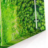 Verdant Forest Path - Spring Landscape Wall Art for Nature Lovers