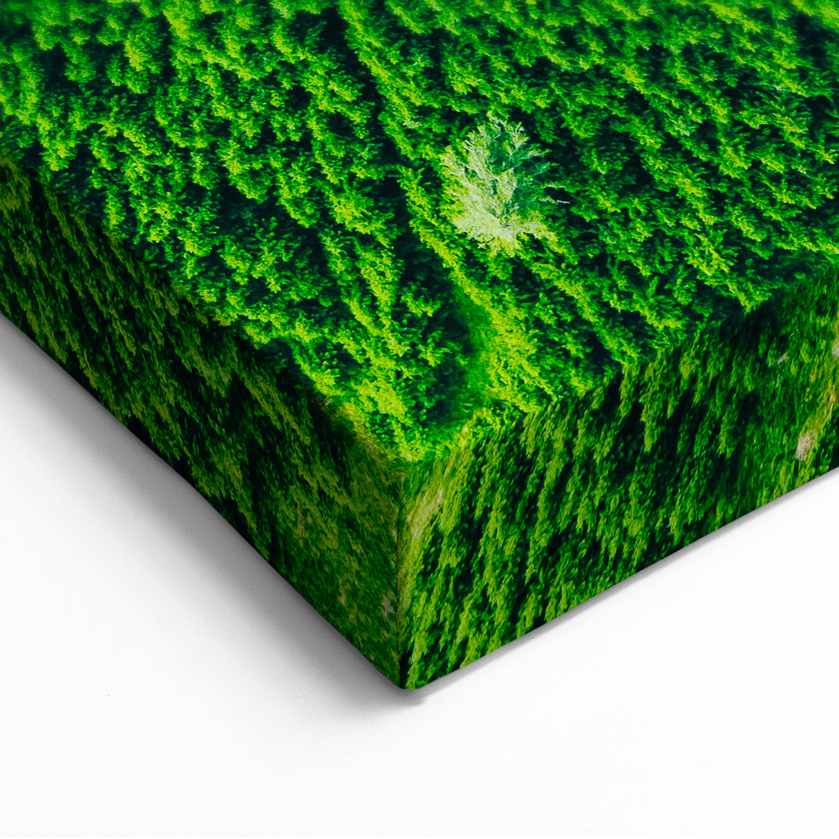 Verdant Forest Path - Spring Landscape Wall Art for Nature Lovers