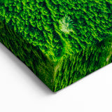 Verdant Forest Path - Spring Landscape Wall Art for Nature Lovers