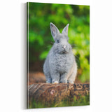 Adorable Spring Bunny - Botanical Wall Art for Cozy Nature Decor
