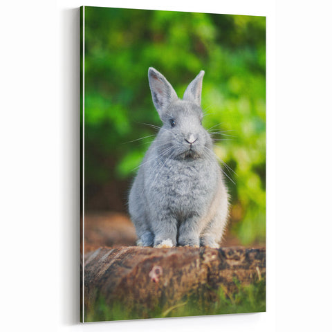 Adorable Spring Bunny - Botanical Wall Art for Cozy Nature Decor
