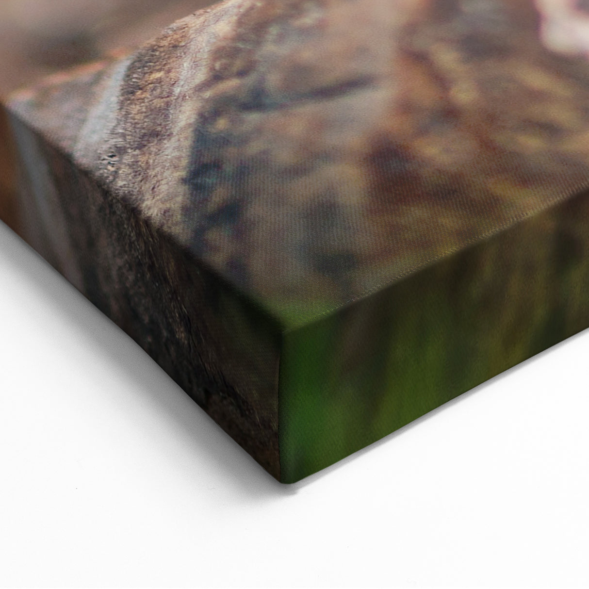 Adorable Spring Bunny - Botanical Wall Art for Cozy Nature Decor