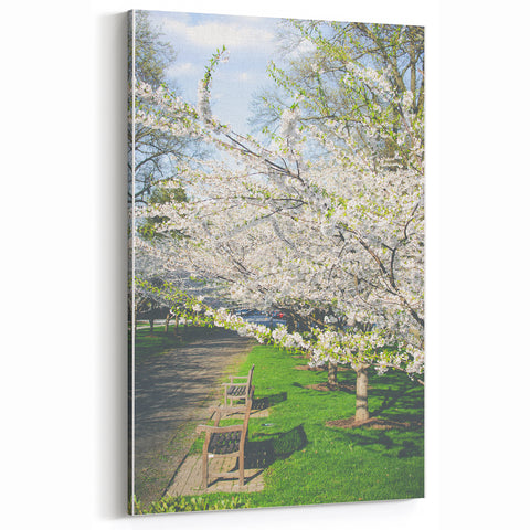 Blossoming Spring Park - Spring Landscape Wall Art for Serene Spaces