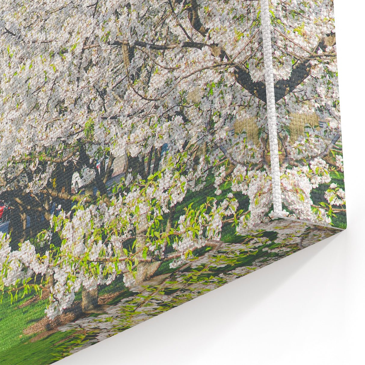 Blossoming Spring Park - Spring Landscape Wall Art for Serene Spaces