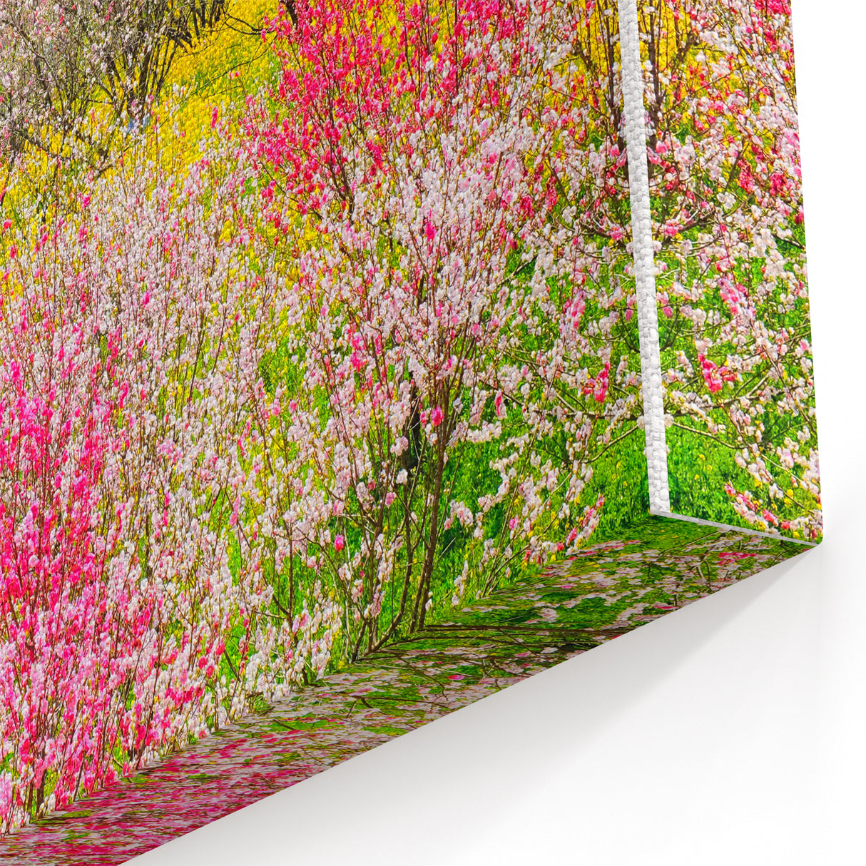 Spring Landscape Wall Art – Vibrant Floral Botanical Canvas Print