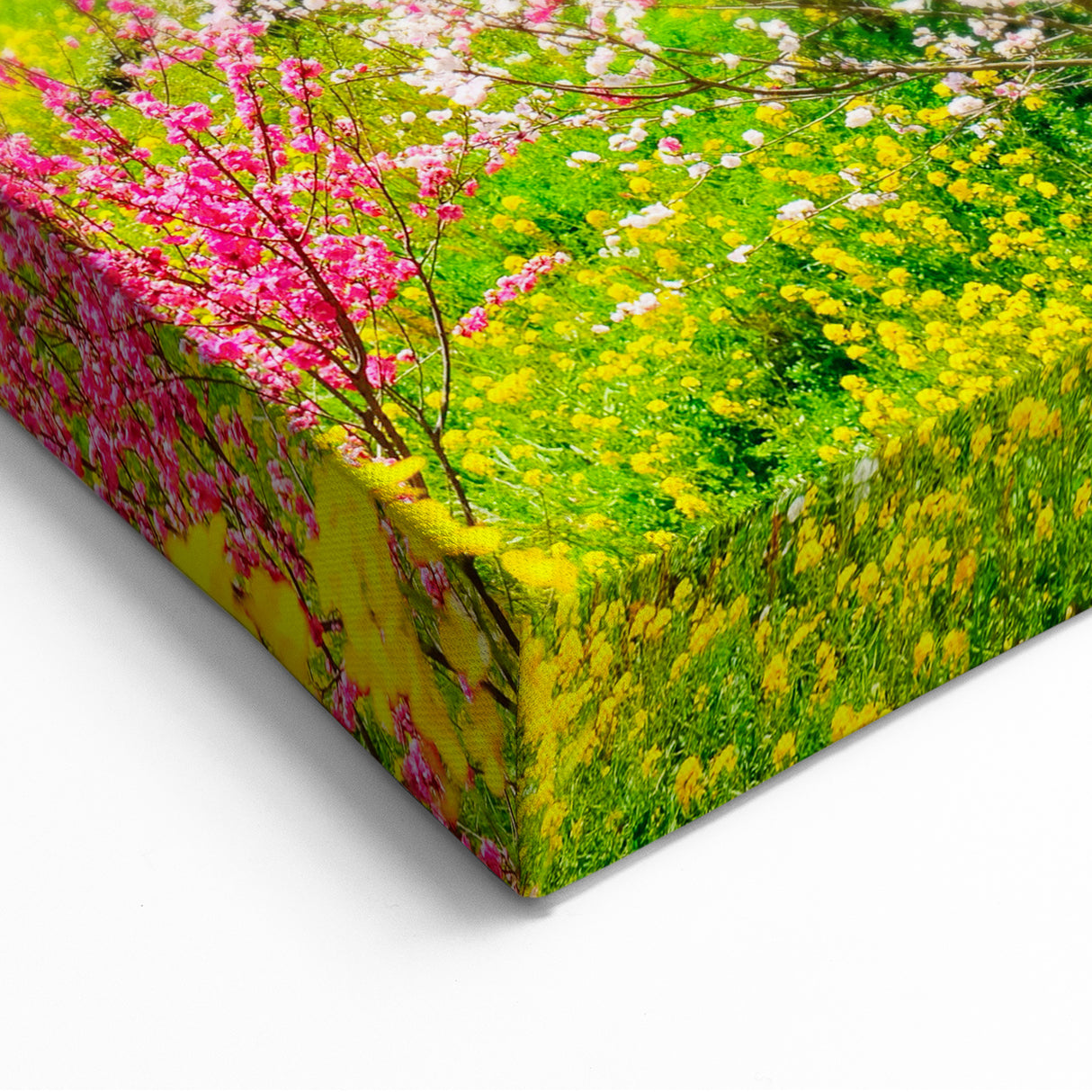 Spring Landscape Wall Art – Vibrant Floral Botanical Canvas Print