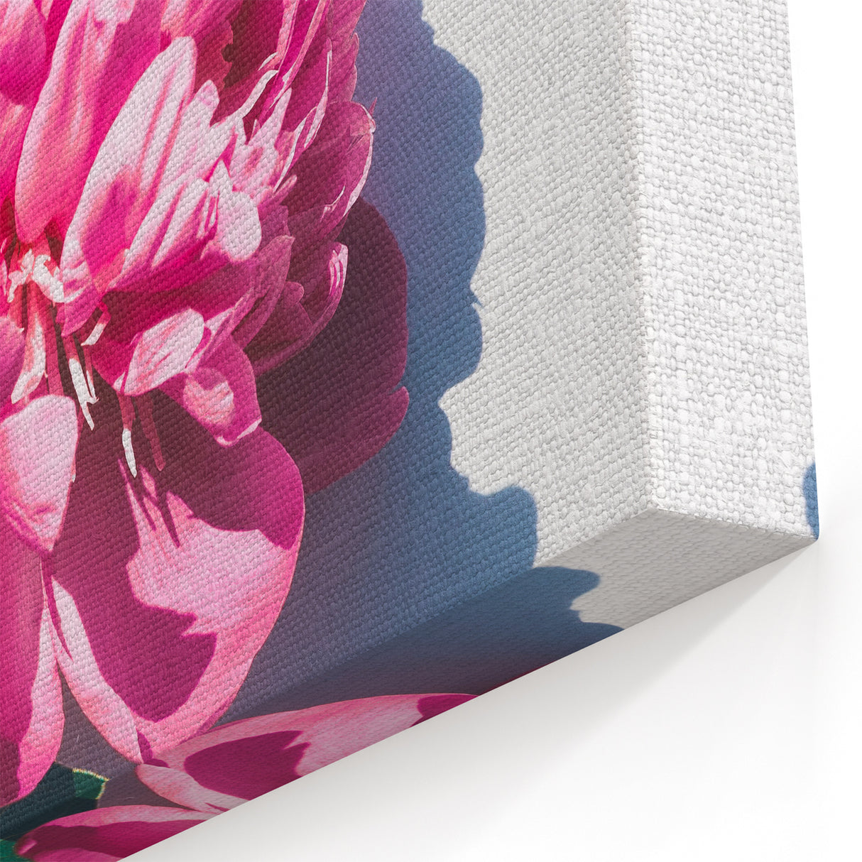 Bold Pink Peony Wall Art – Elegant Spring Floral Canvas Print