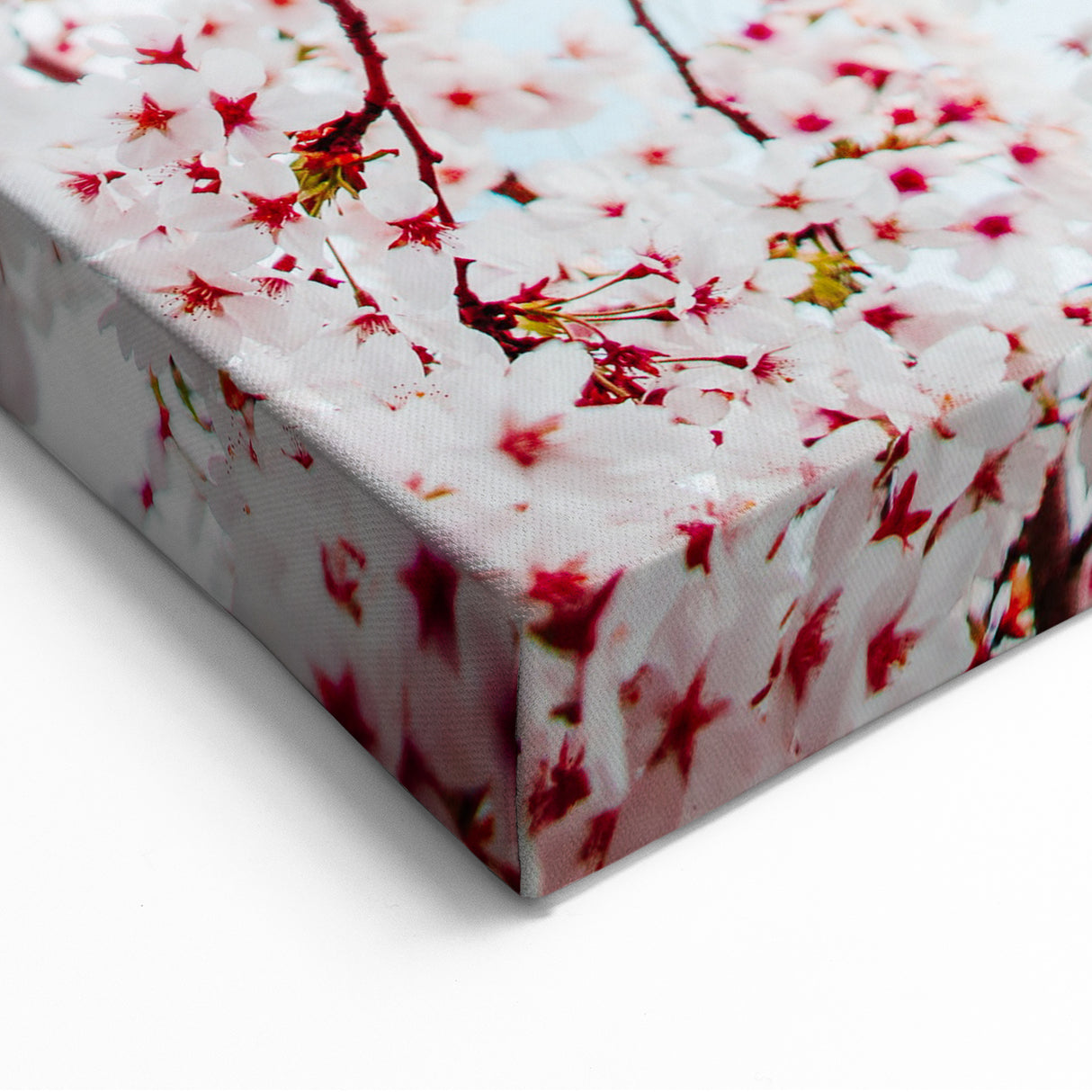 Cherry Blossom Spring Wall Art – Elegant Floral Canvas Print