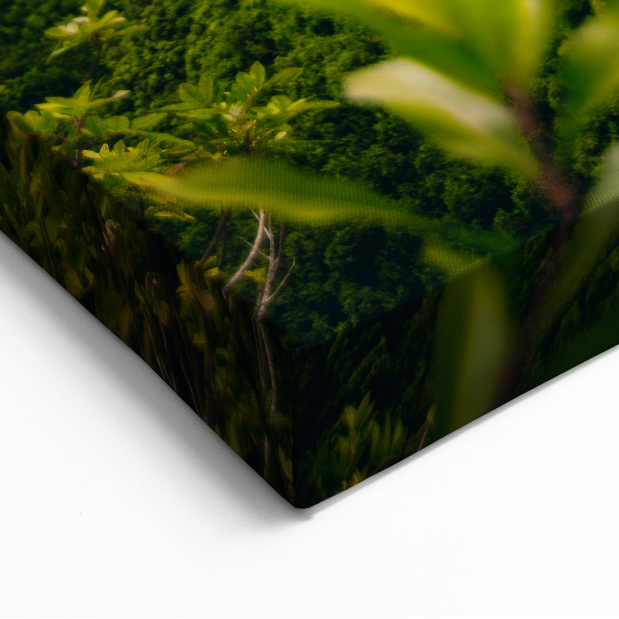 Majestic Spring Mountain Wall Art – Scenic Landscape Canvas Print