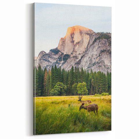 Mountain Meadow Spring Wall Art – Scenic Landscape Canvas Print