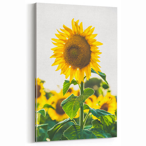 Golden Sunflower Spring Wall Art – Vibrant Botanical Canvas Print