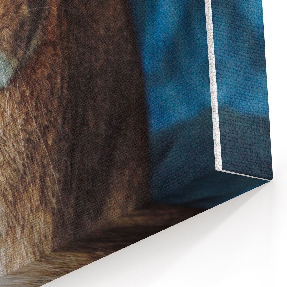 Adorable Bunny Spring Wall Art – Cozy Animal Canvas Print