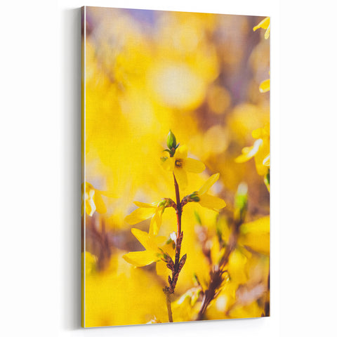 Golden Forsythia Spring Wall Art – Vibrant Floral Canvas Print