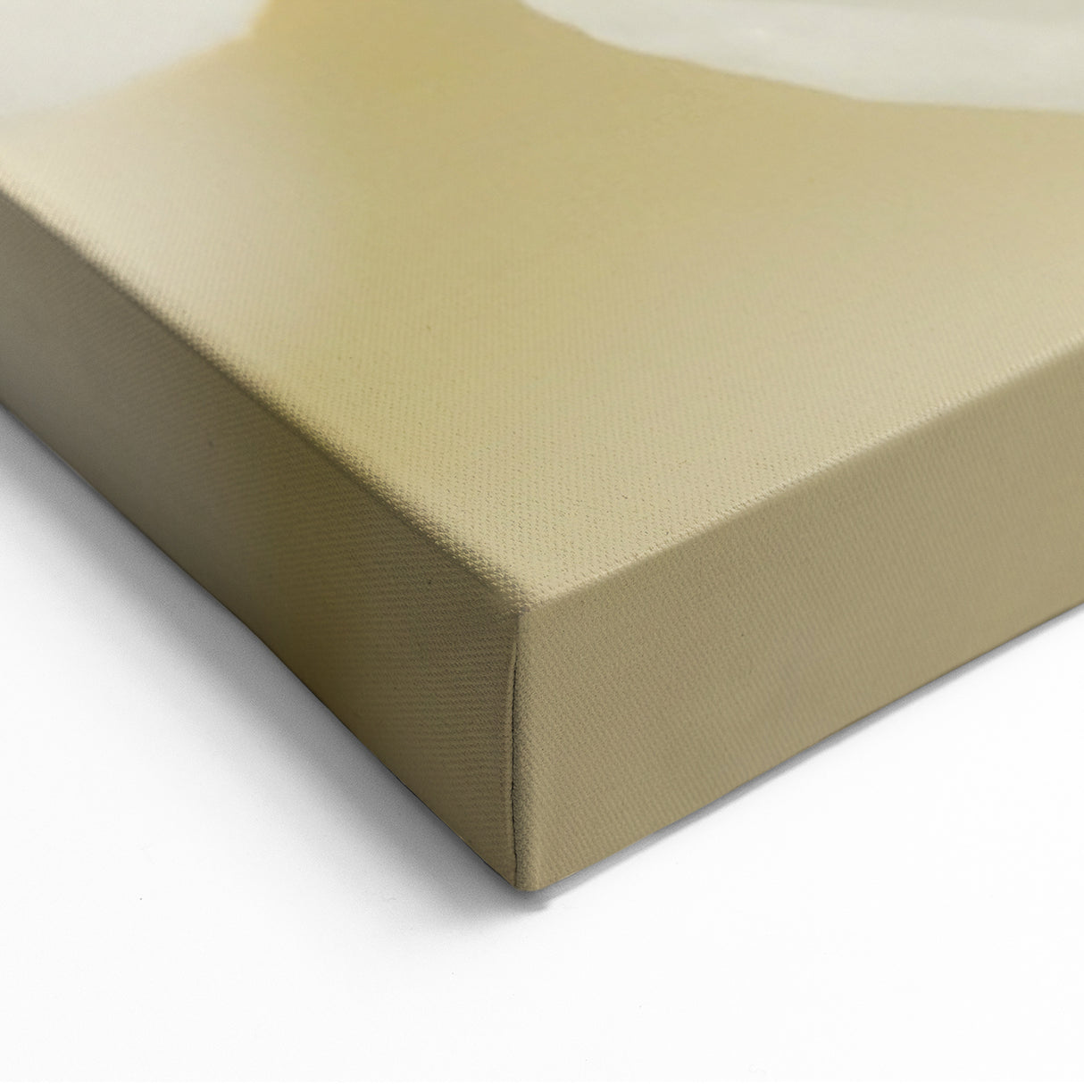 Bee and Blossom Spring Wall Art – Nature-Inspired Canvas Print