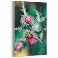 Ladybug and Thistle Spring Wall Art – Vibrant Nature Canvas Print
