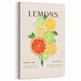 Fruit Art Prints – Citrus Kitchen Wall Decor for Modern Spaces
