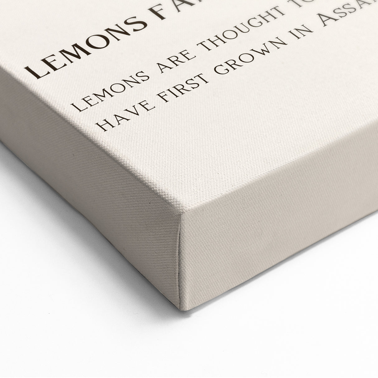 Fruit Art Prints – Citrus Kitchen Wall Decor for Modern Spaces