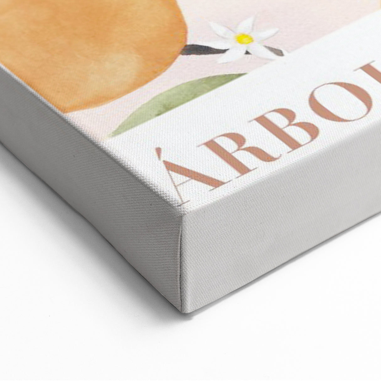 Fruit Wall Decor – Valencia Orange Tree Botanical Print