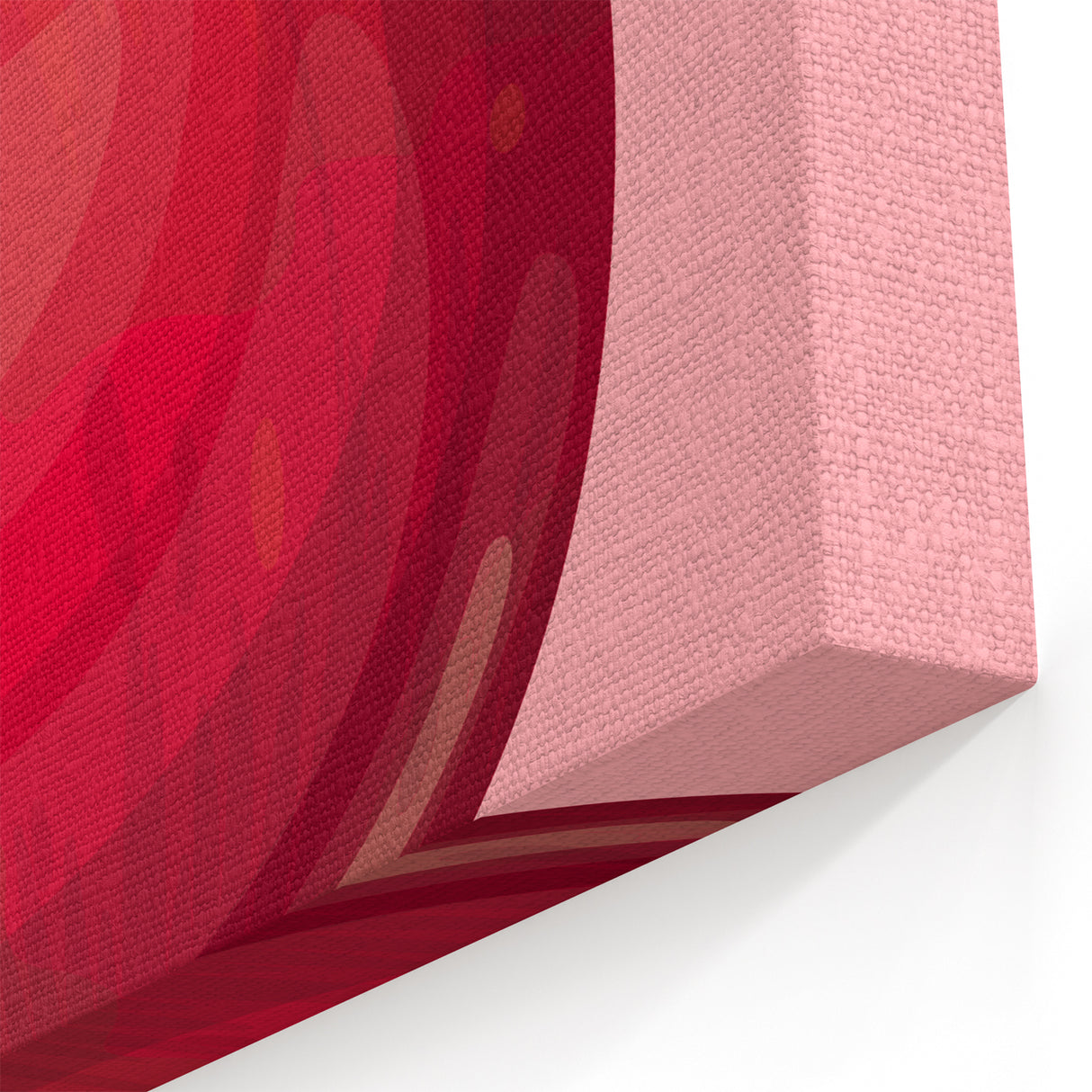 Fruit Canvas Art – Bold Pomegranate Illustration Print