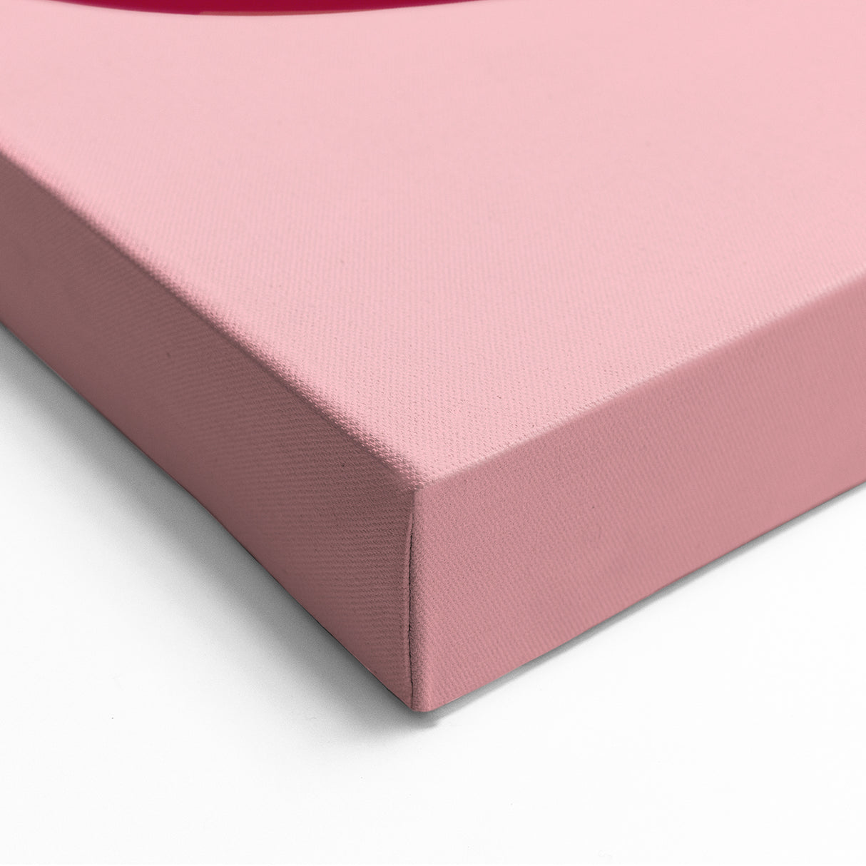 Fruit Canvas Art – Bold Pomegranate Illustration Print