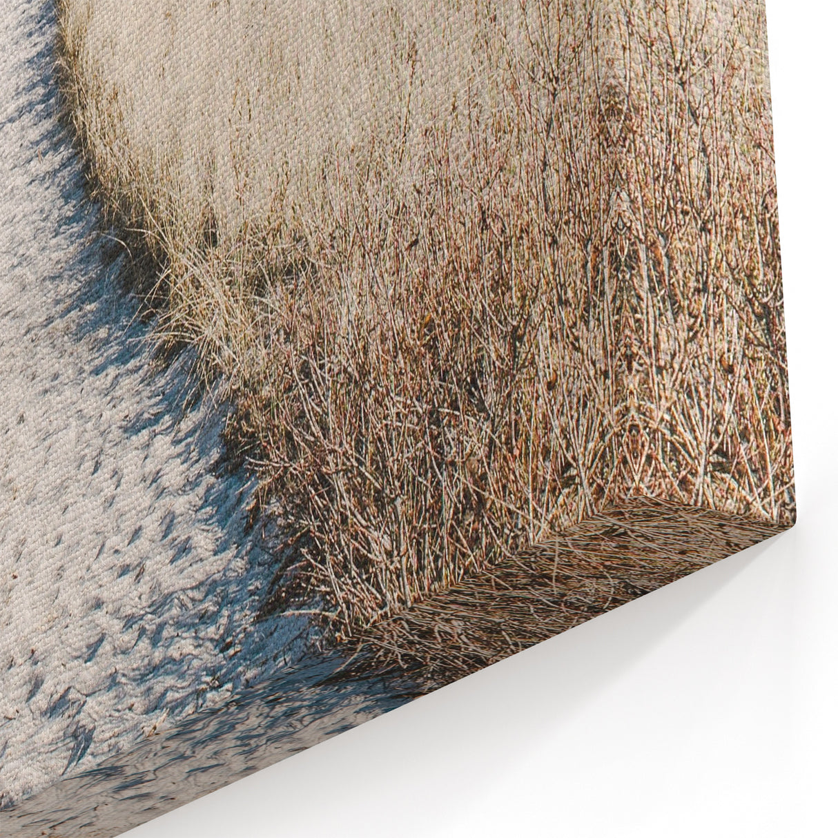 Sandy Pathway to the Beach - Summer Wall Art for Coastal Décor