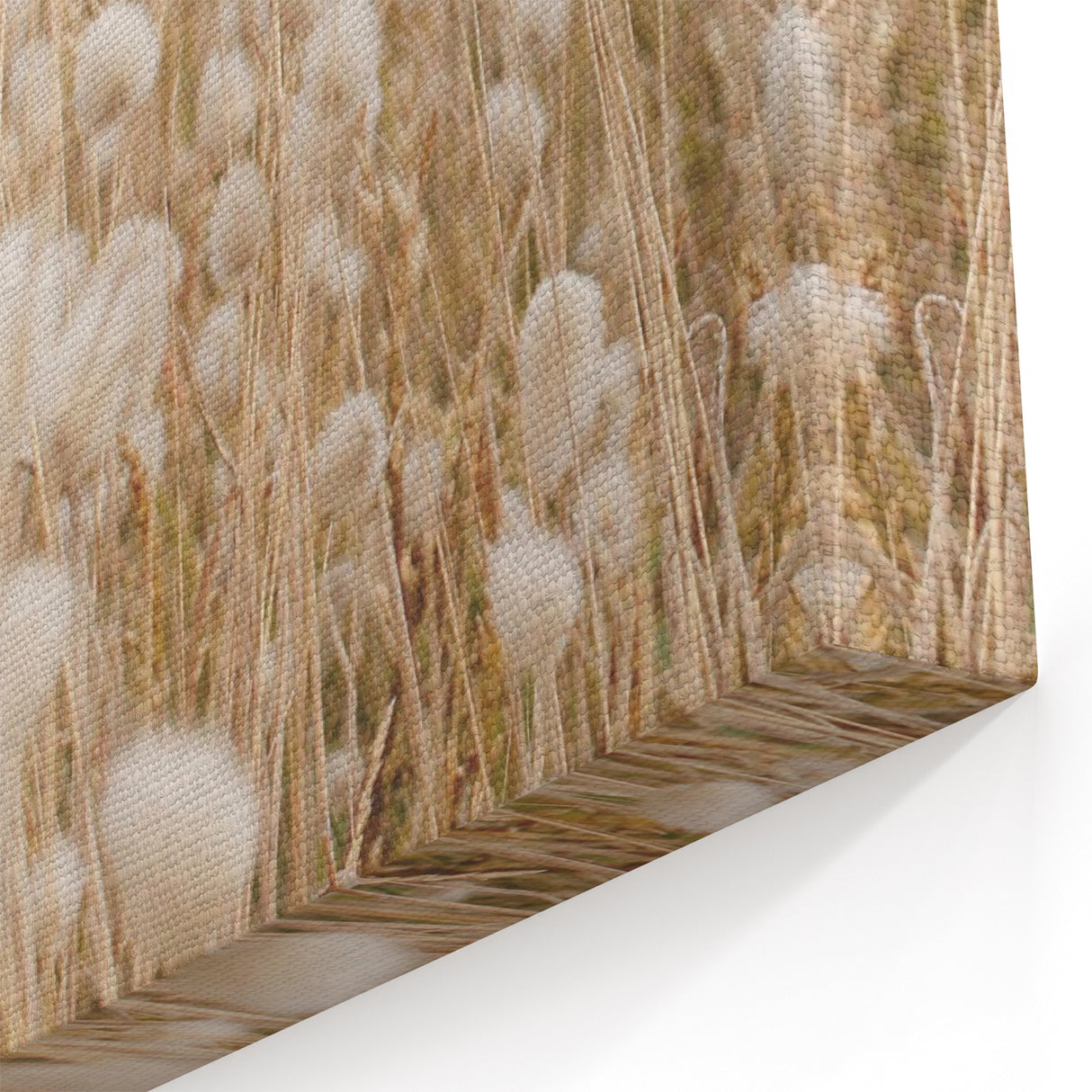 Golden Wild Grasses - Summer Wall Art for Minimalist Décor