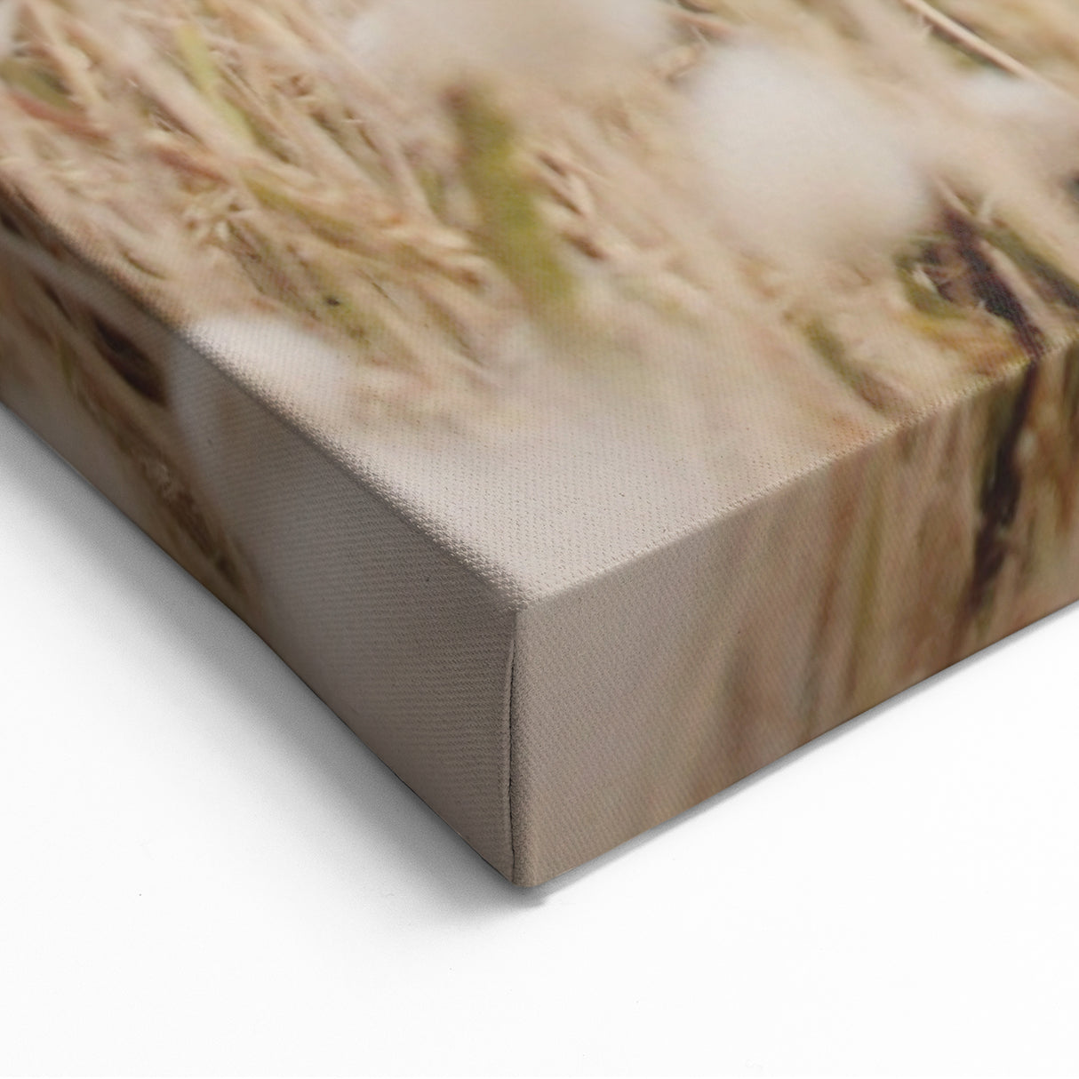 Golden Wild Grasses - Summer Wall Art for Minimalist Décor