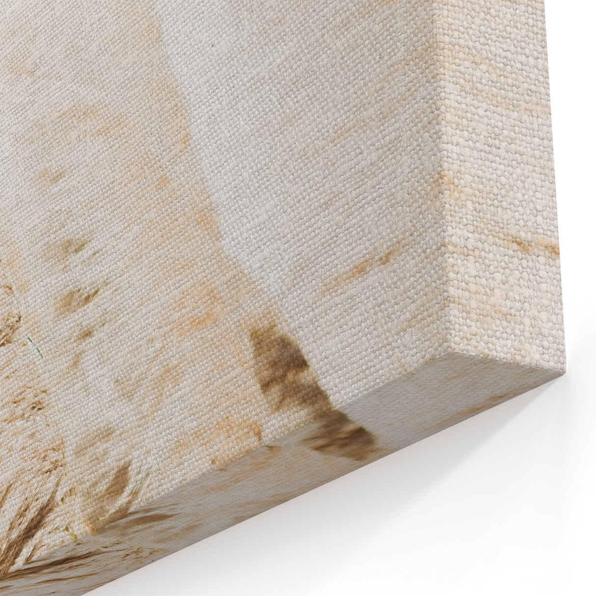 Golden Pampas Grass - Summer Wall Art for Minimalist Décor