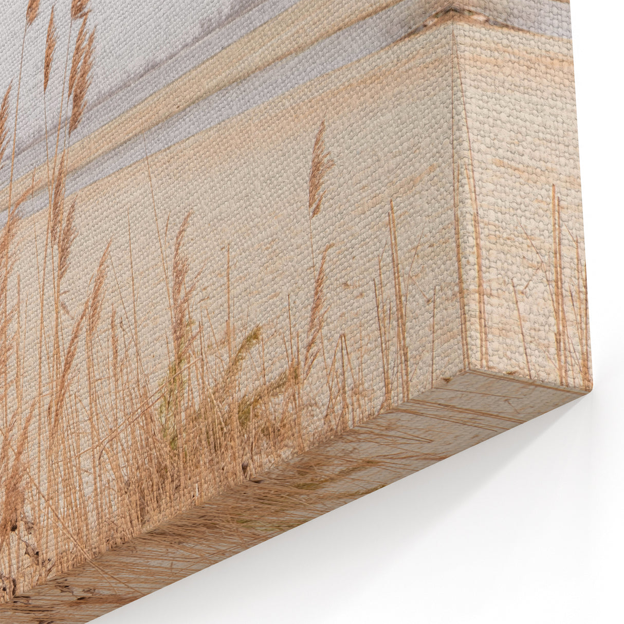 Golden Dune Grass - Summer Wall Art for Coastal Serenity