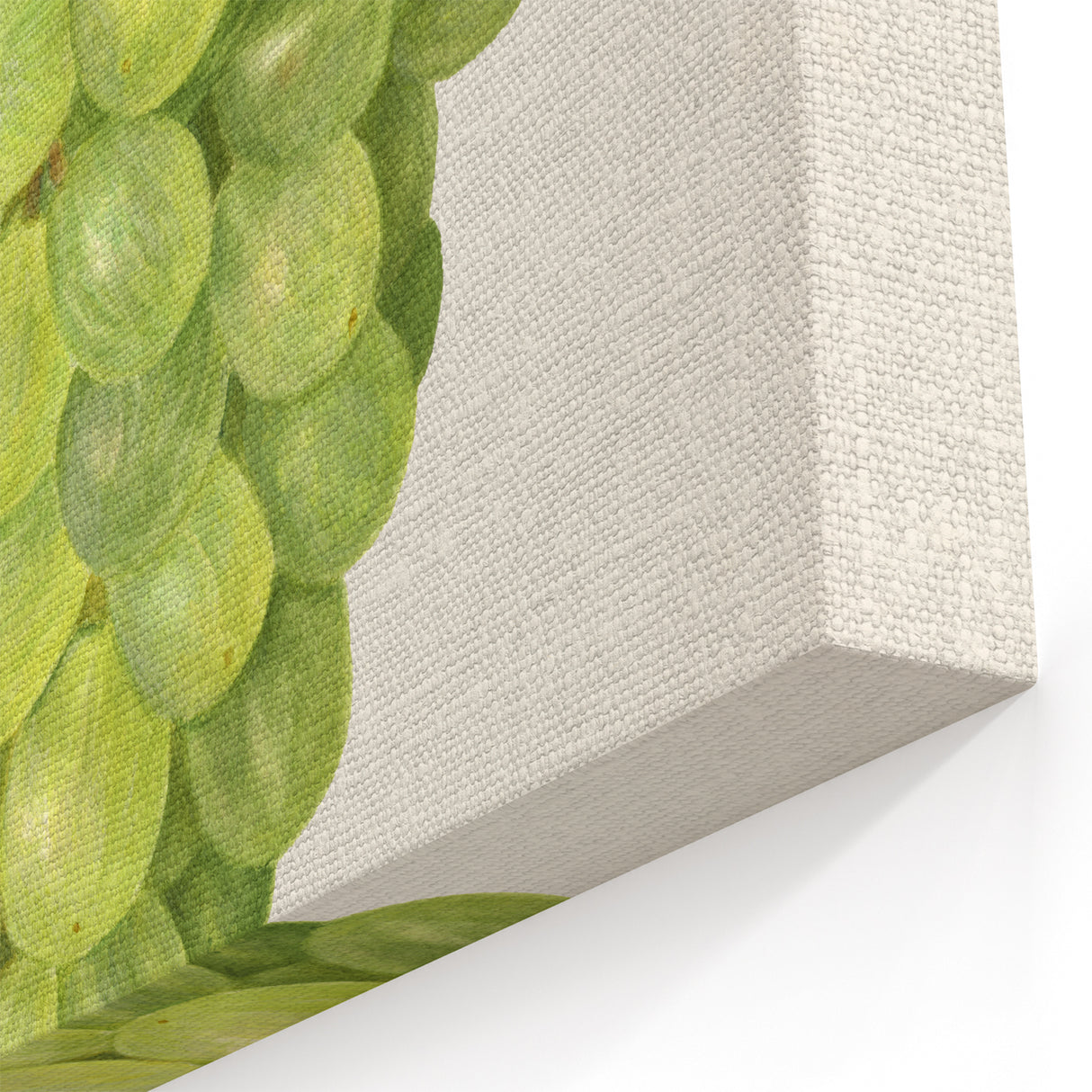 Vintage Green Grape Botanical Print – Classic Fruit Wall Art